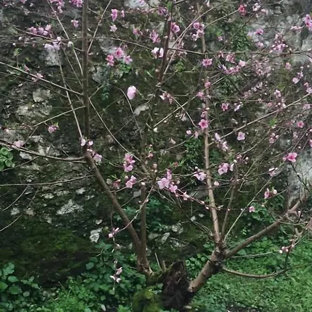 De Peregrinos La Bilbaina Santoña