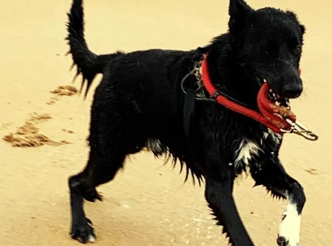 De Peregrinos La Bilbaina Hostal *