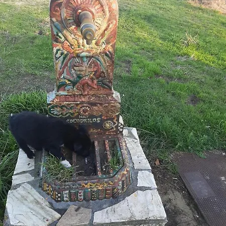 De Peregrinos La Bilbaina Hostel Santoña