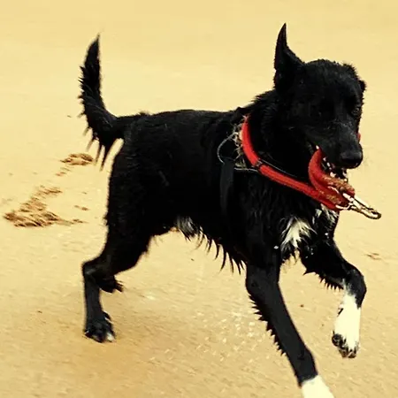 De Peregrinos La Bilbaina Hostel *