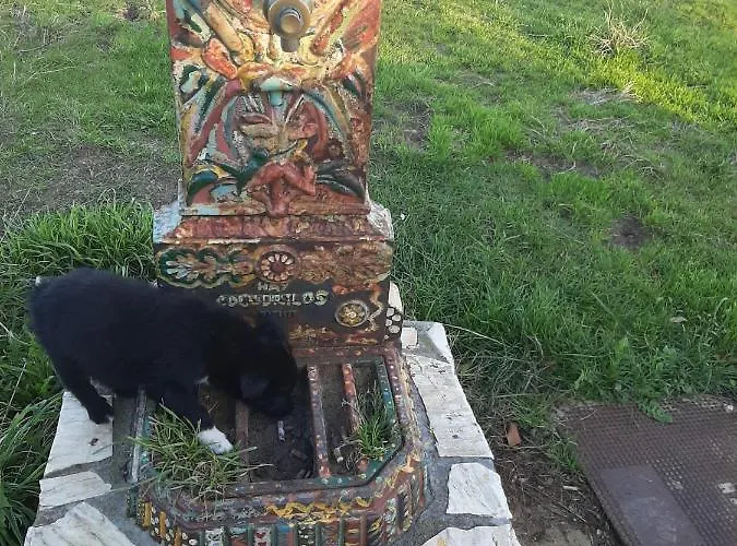 De Peregrinos La Bilbaina Hostel Santona