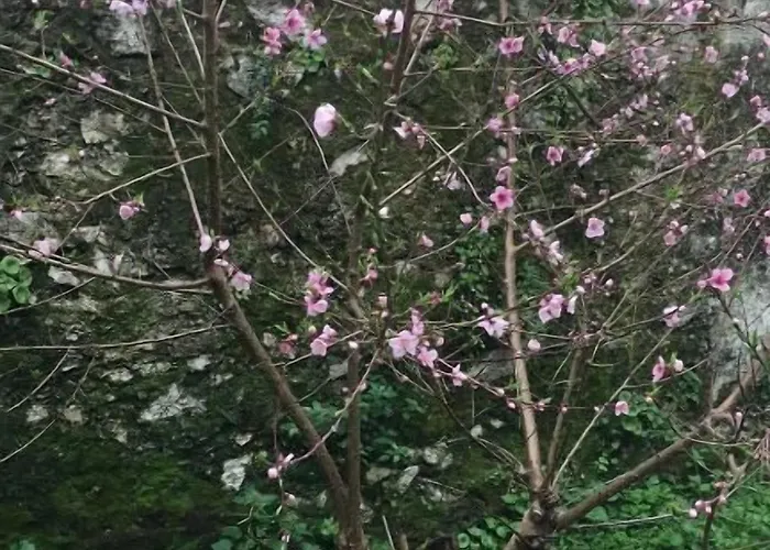 De Peregrinos La Bilbaina Santona